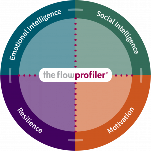 the flowprofiler